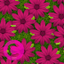 FLOWER MEADOW elgato streamdeck and loupedeck animated gif icons key button background wallpaper