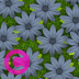 花朵草地埃尔加托溪流和loupedeck动画gif图标钥匙按钮背景壁纸